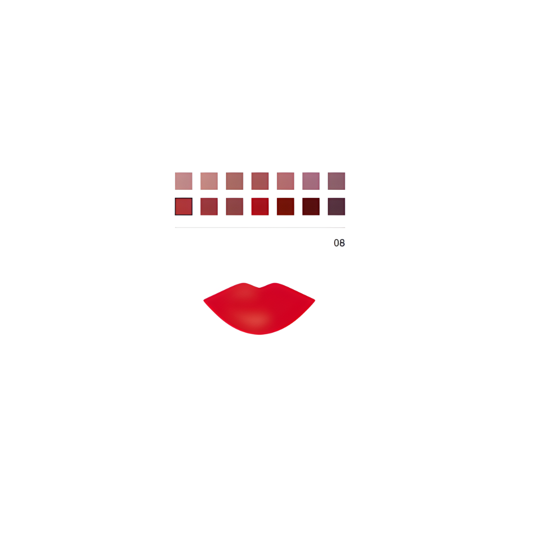 Matte Liquid Lipgloss