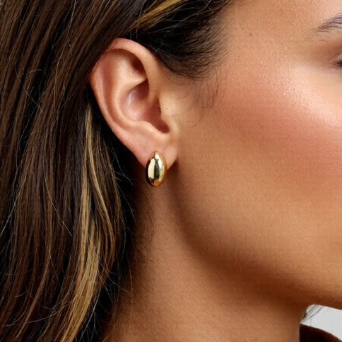 Oval Button Earrings