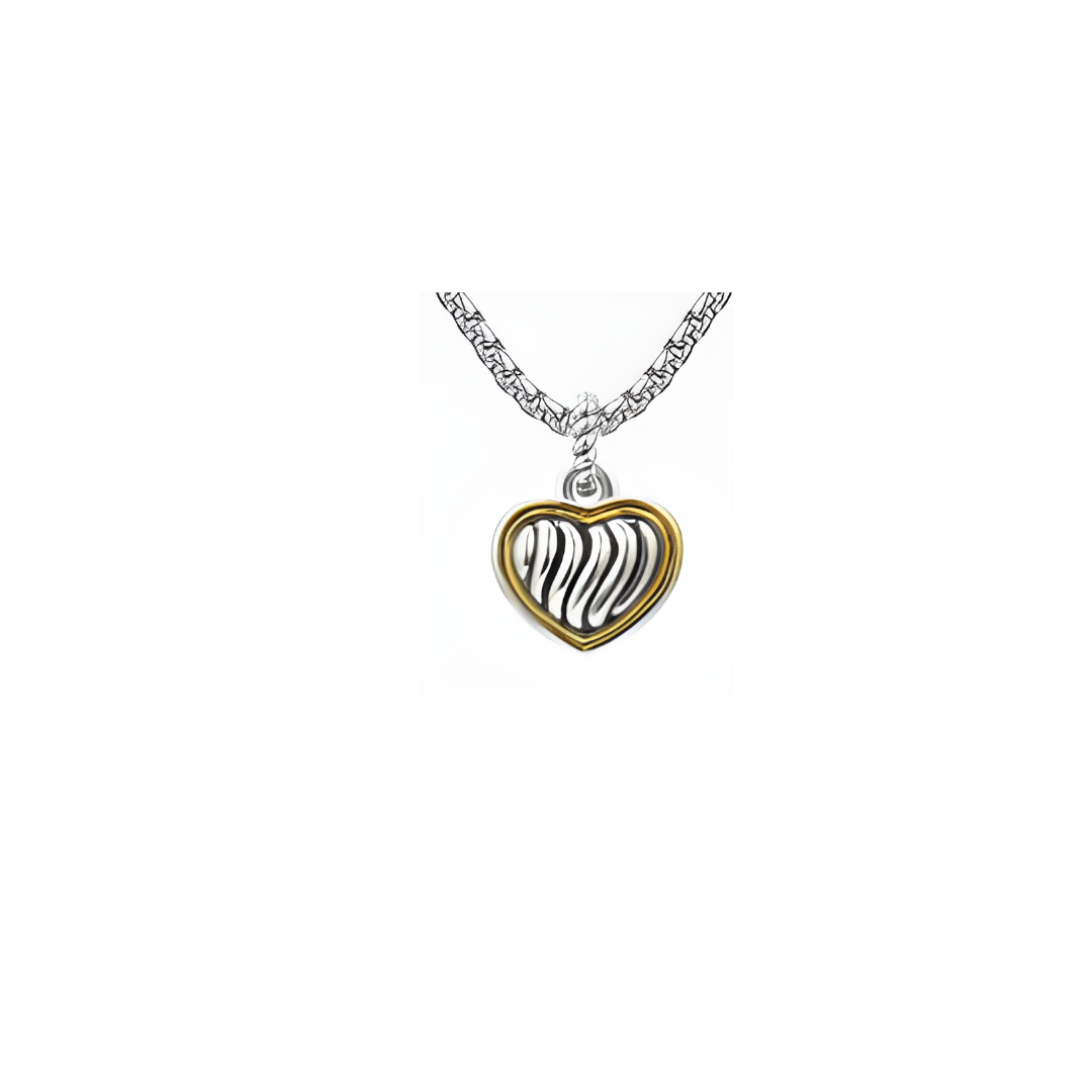 Two Tone Heart Necklace and Earring Set