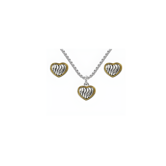 Two Tone Heart Necklace and Earring Set